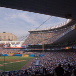 Stadium View