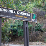 Radio Hill Gardens