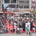 "This Is It" Red Carpet