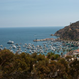 Day Trip to Catalina