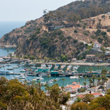 Day Trip to Catalina